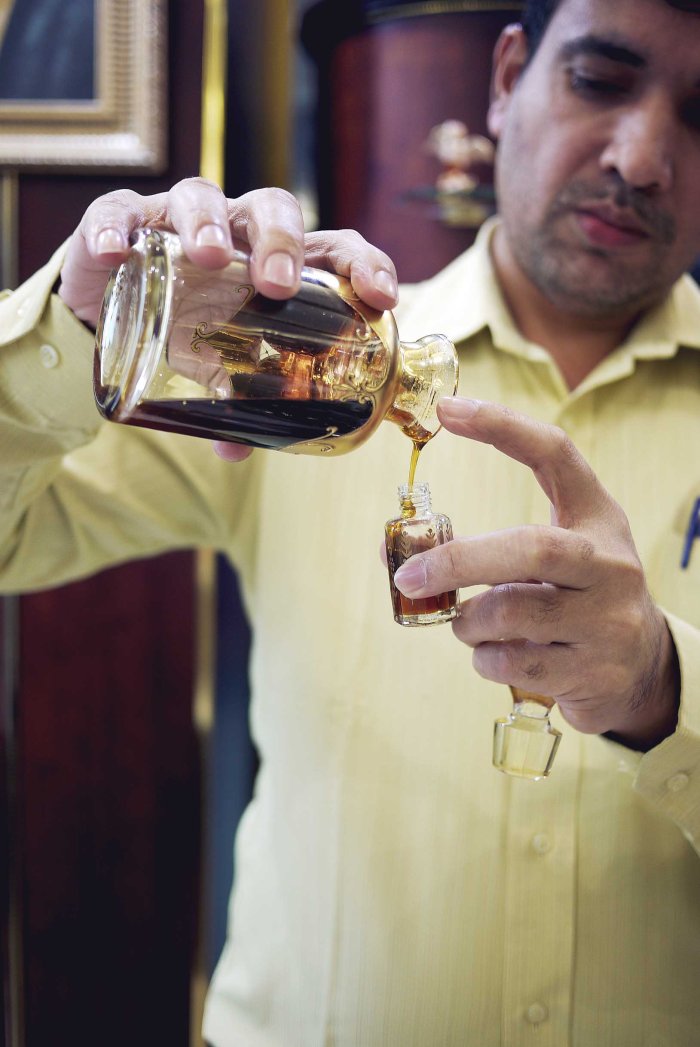 City Mouse Island Mouse