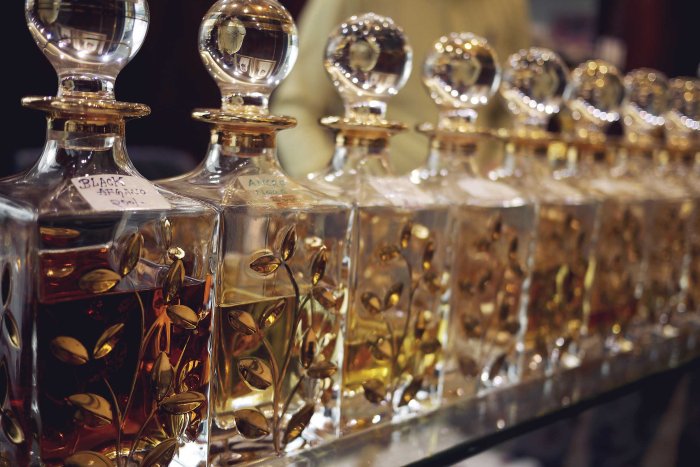 City Mouse Island Mouse