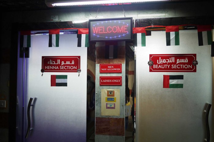 City Mouse Island Mouse