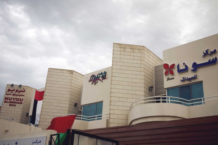 City Mouse Island Mouse