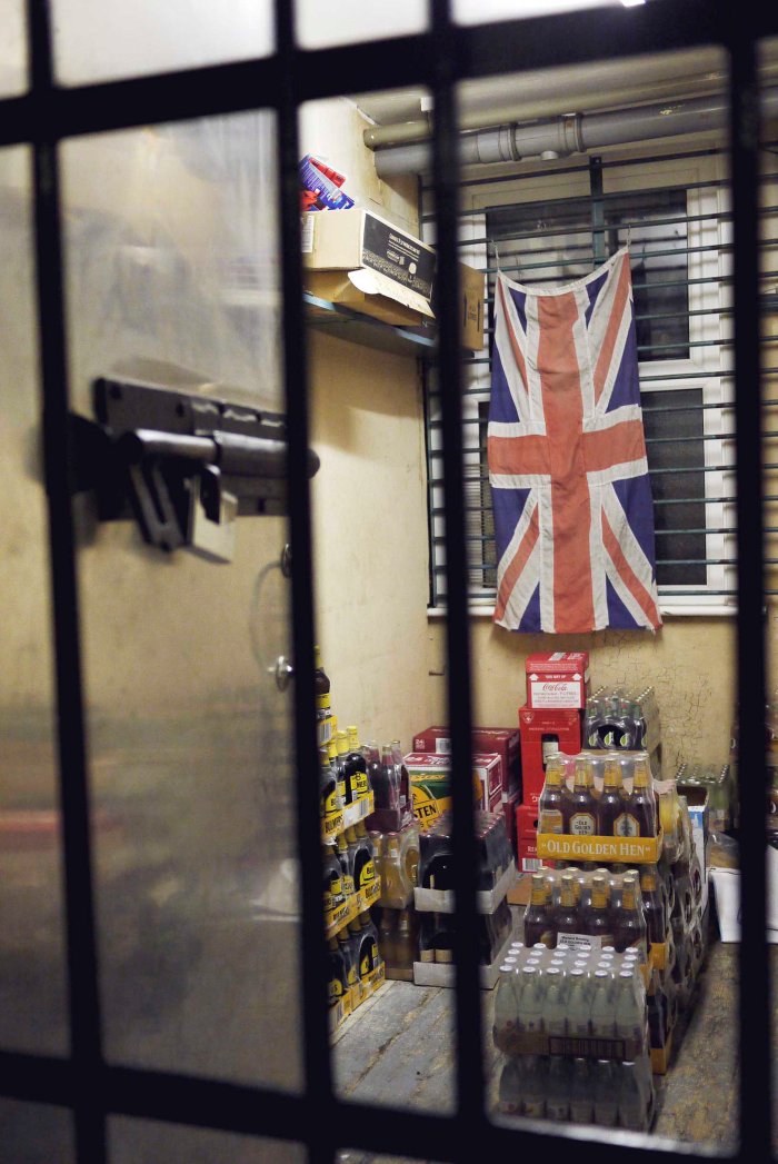 City Mouse Island Mouse