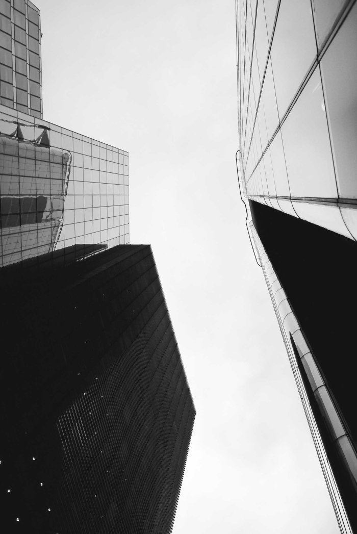 City Mouse Island Mouse