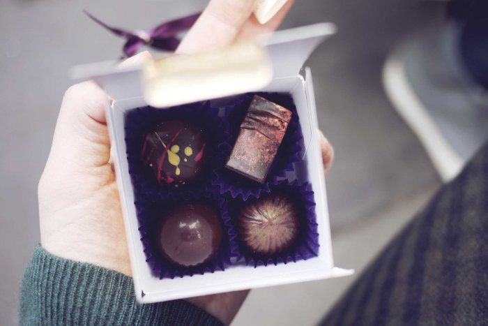 City Mouse Island Mouse