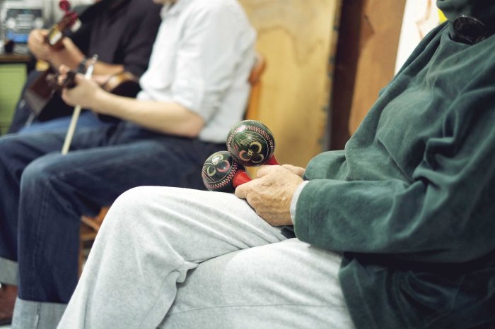 City Mouse Island Mouse