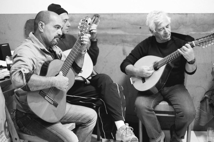 City Mouse Island Mouse