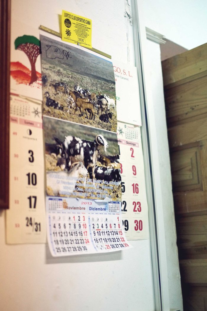 City Mouse Island Mouse