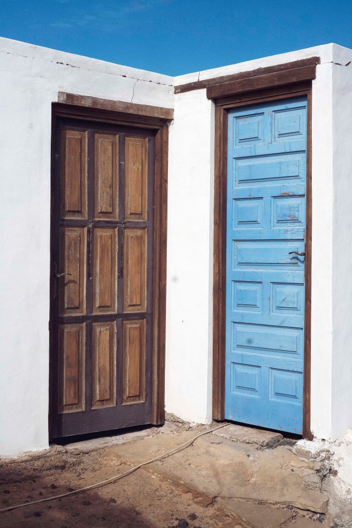 City Mouse Island Mouse