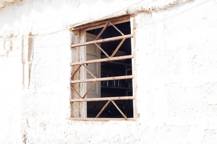 City Mouse Island Mouse