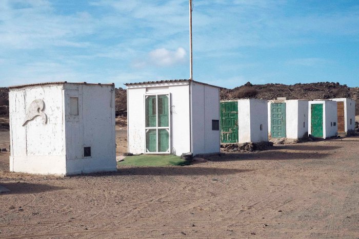 City Mouse Island Mouse