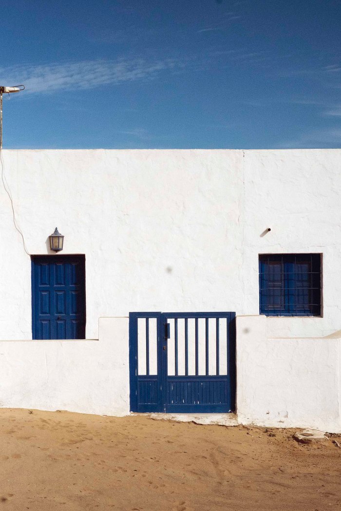 City Mouse Island Mouse