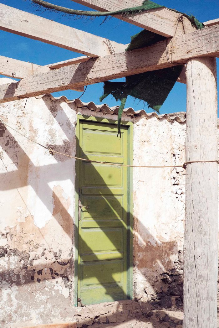 City Mouse Island Mouse