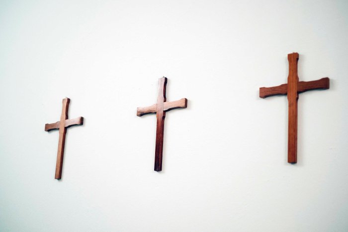 City Mouse Island Mouse