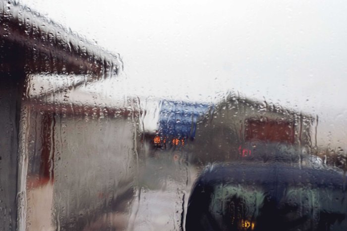 City Mouse Island Mouse