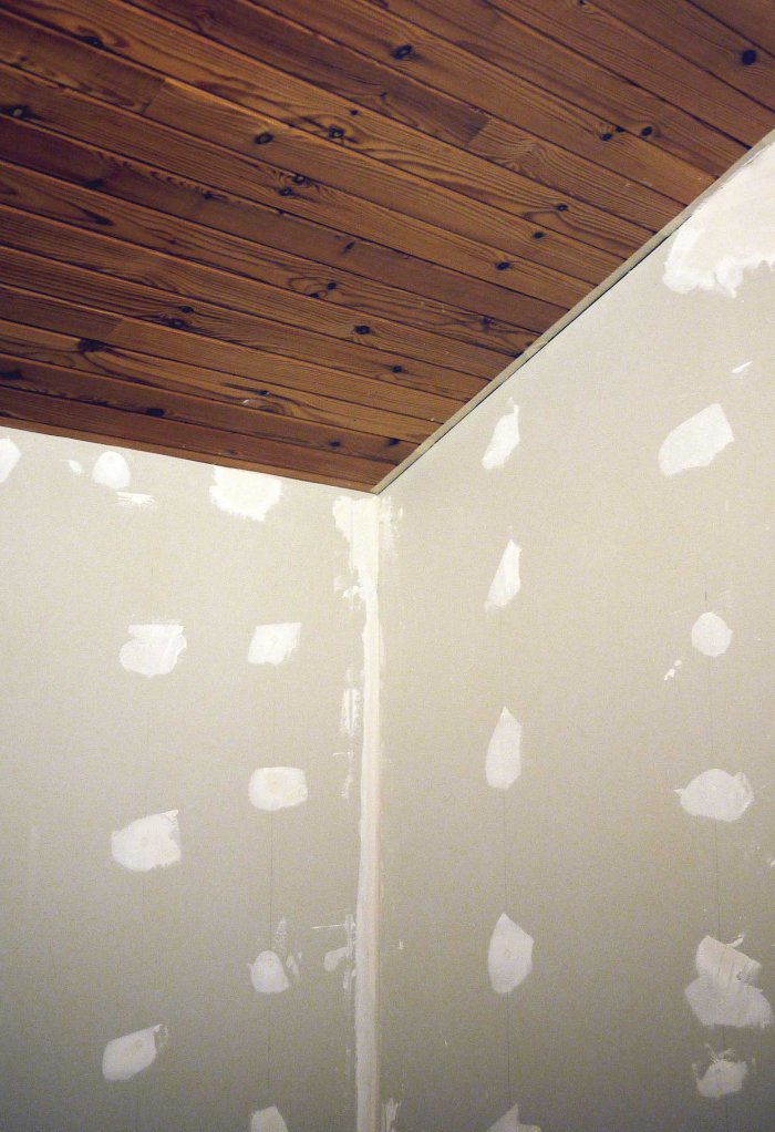 City Mouse Island Mouse