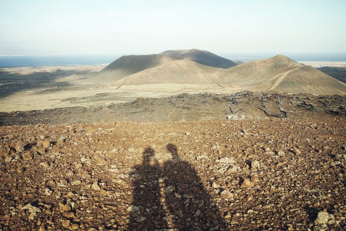 City Mouse Island Mouse