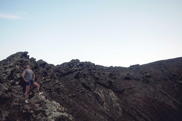 City Mouse Island Mouse