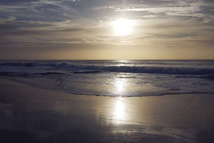 City Mouse Island Mouse