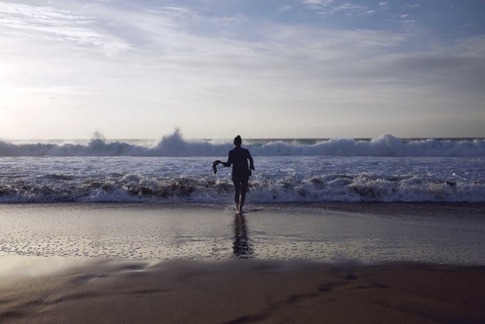 City Mouse Island Mouse