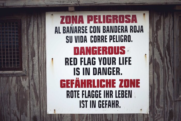 City Mouse Island Mouse