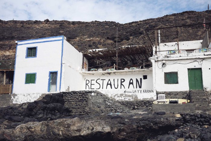 City Mouse Island Mouse