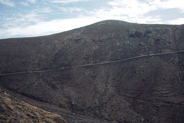 City Mouse Island Mouse