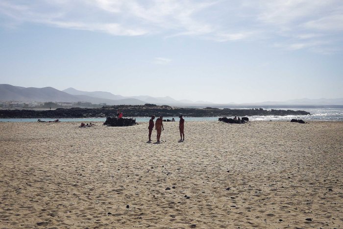 City Mouse Island Mouse