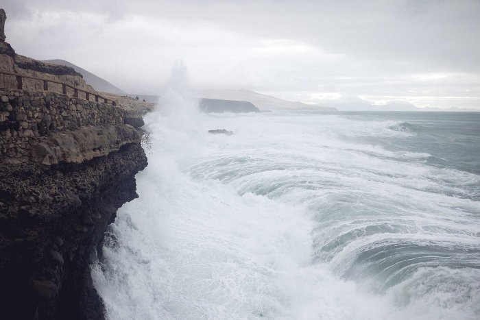 City Mouse Island Mouse