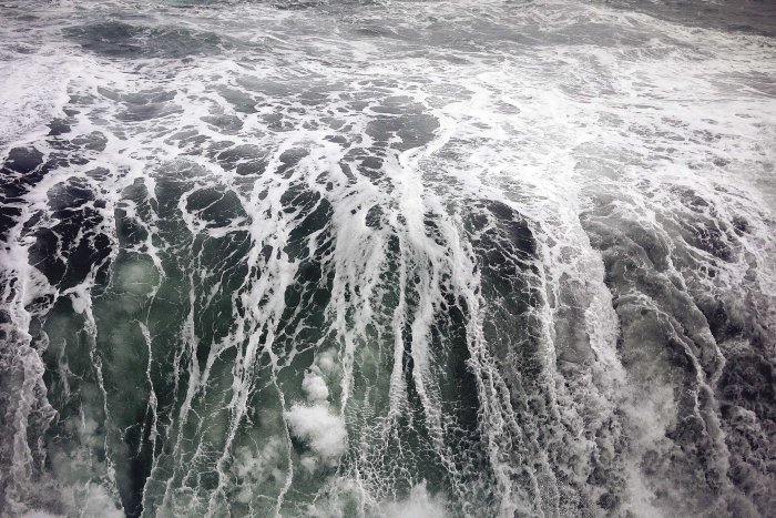 City Mouse Island Mouse