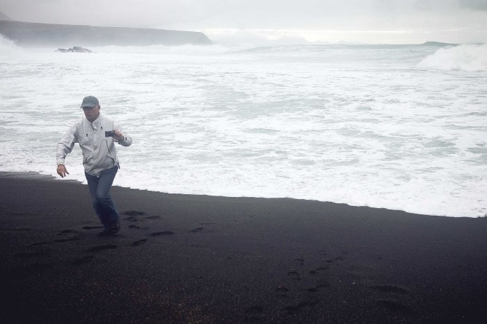 City Mouse Island Mouse