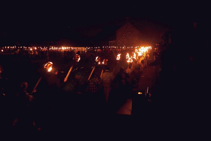 City Mouse Island Mouse