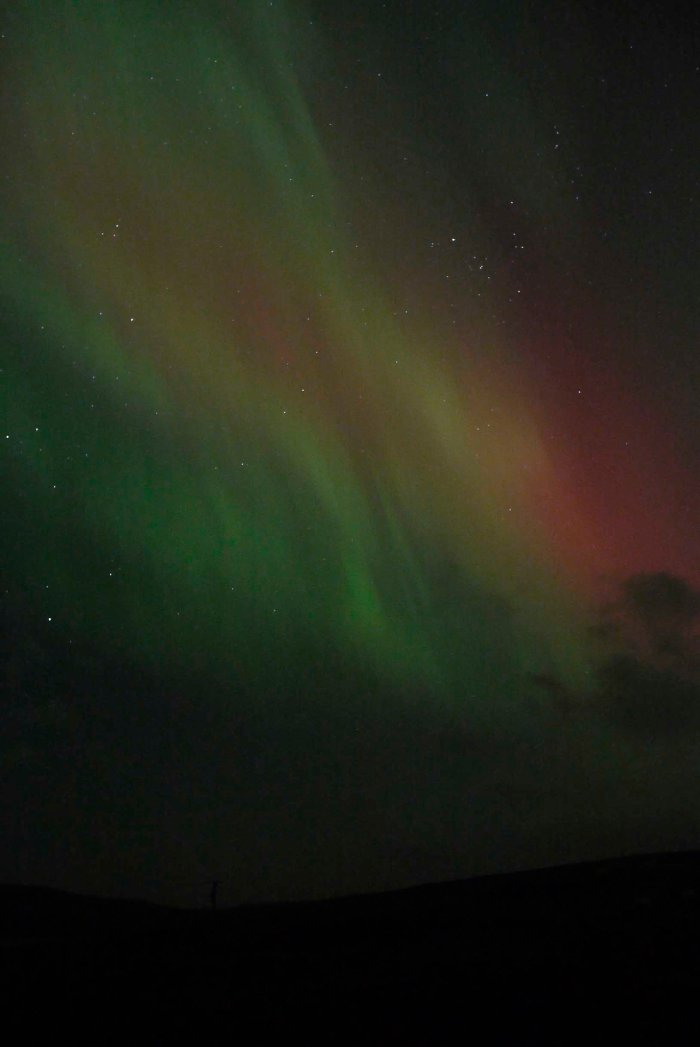 City Mouse Island Mouse