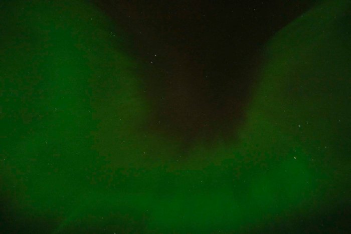 City Mouse Island Mouse