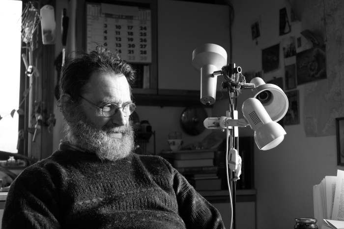 City Mouse Island Mouse