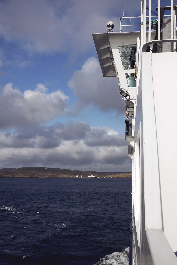 City Mouse Island Mouse