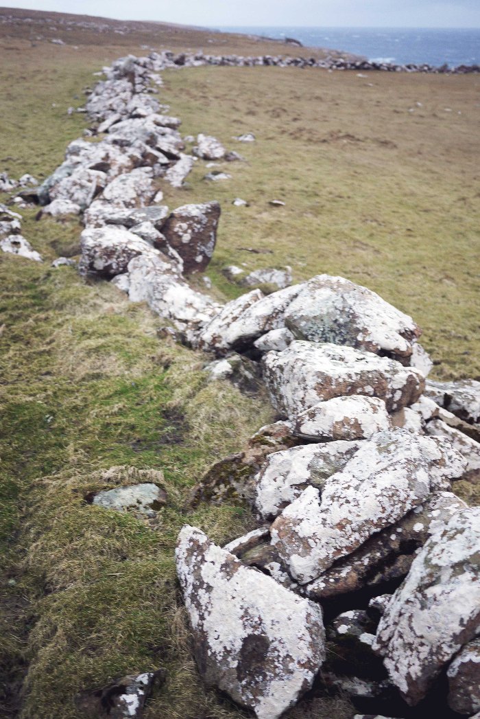 City Mouse Island Mouse