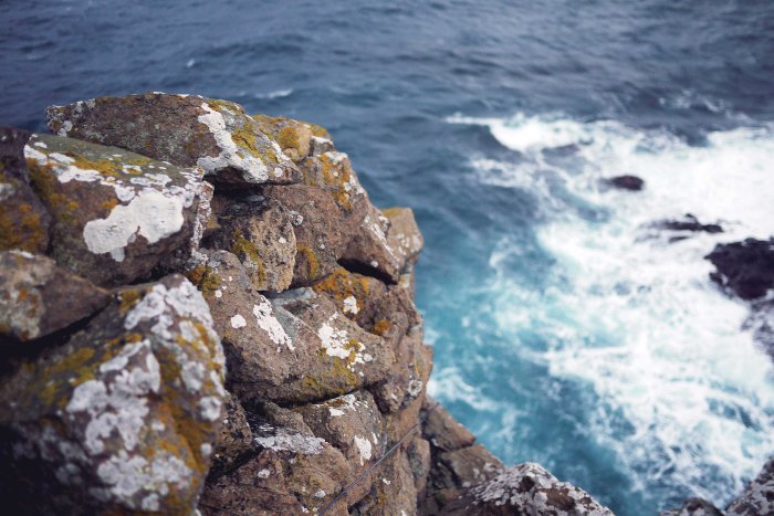 City Mouse Island Mouse