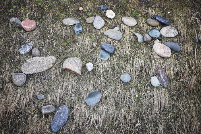 City Mouse Island Mouse