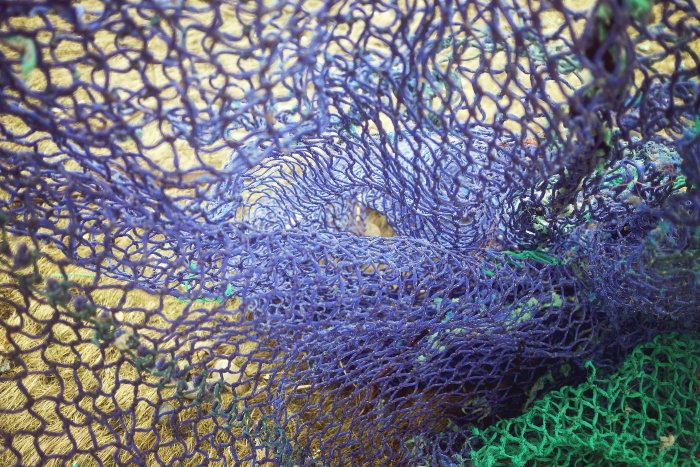 City Mouse Island Mouse