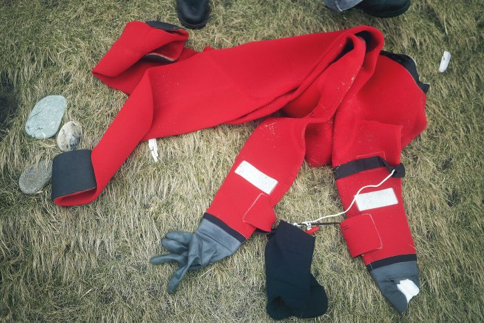 City Mouse Island Mouse