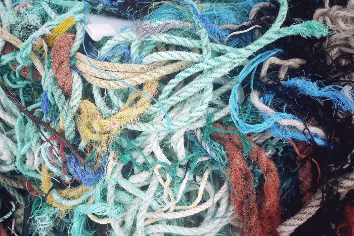 City Mouse Island Mouse