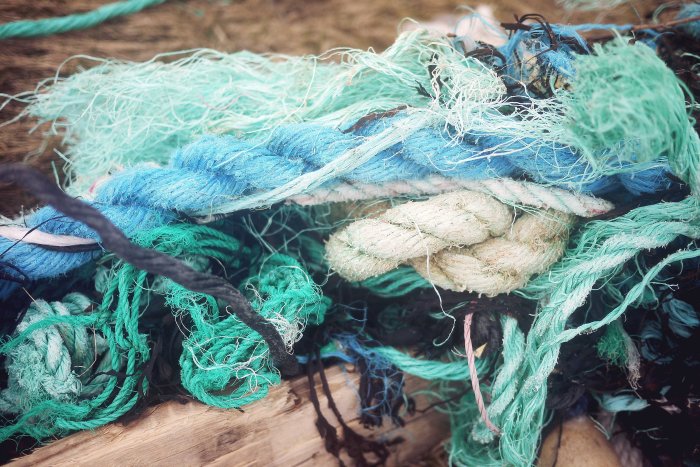 City Mouse Island Mouse