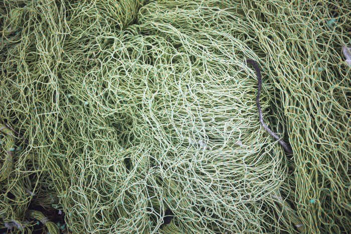 City Mouse Island Mouse