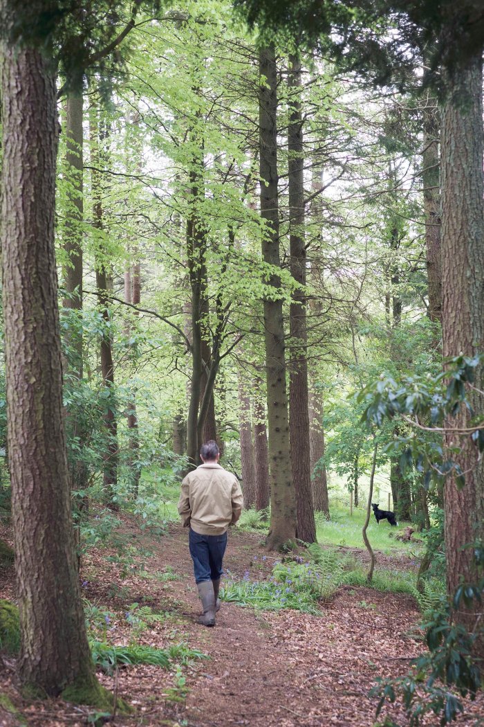 City Mouse Island Mouse Blog