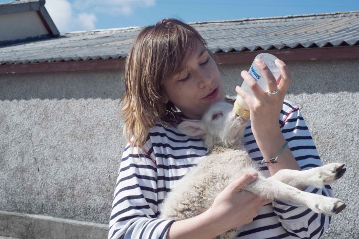 City Mouse Island Mouse Blog