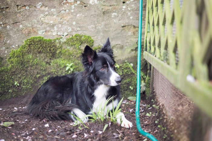 City Mouse Island Mouse Blog