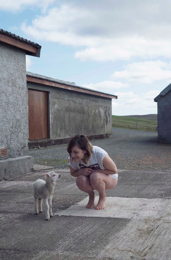 City Mouse Island Mouse Blog