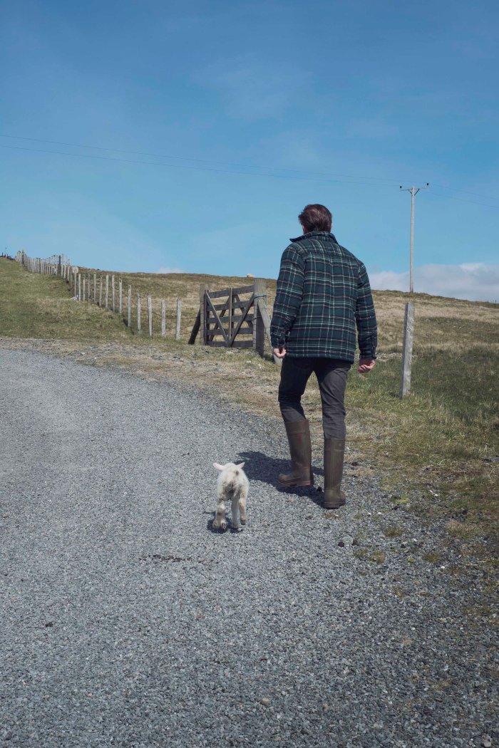 City Mouse Island Mouse Blog