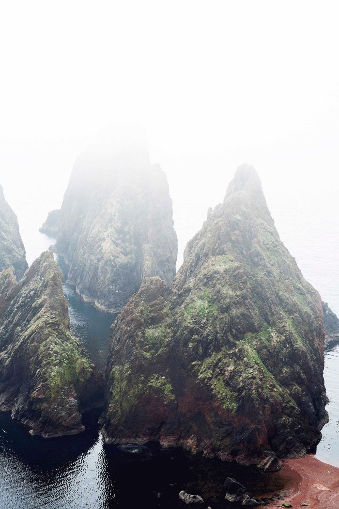 City Mouse Island MouseMareel