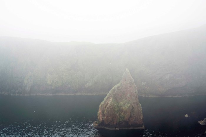 City Mouse Island MouseMareel