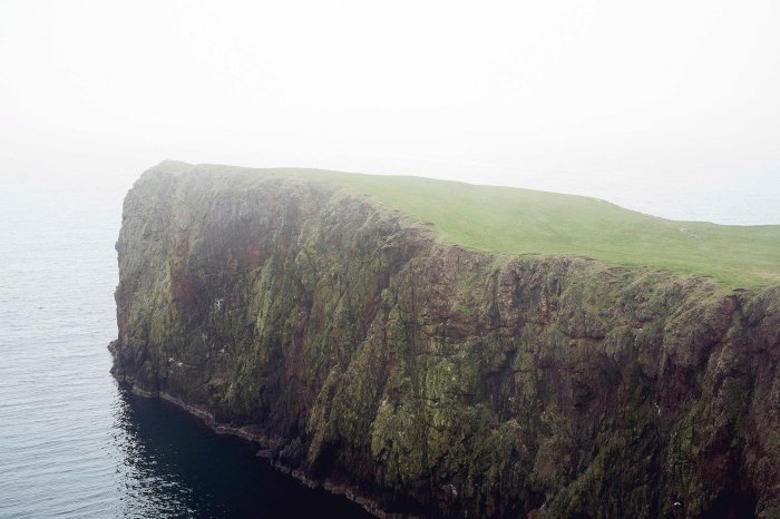 City Mouse Island MouseMareel